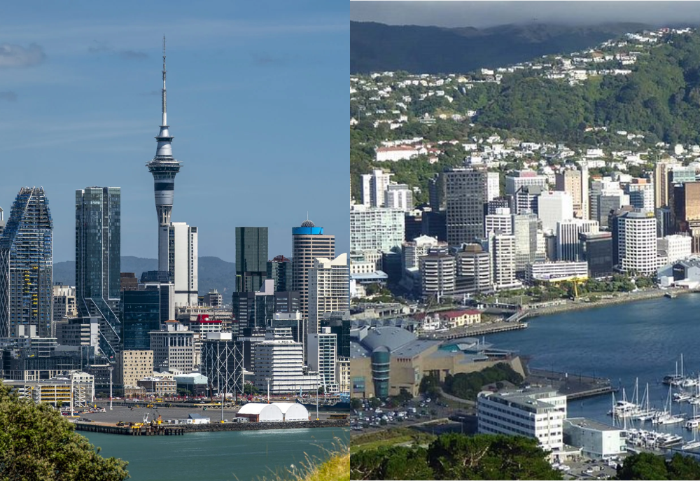 Which Heat Pump Works Best for Auckland vs Wellington Homes?