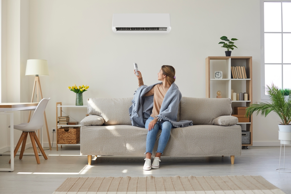 Stay Cosy this Winter with a New Heat Pump